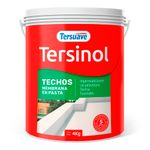 Tersinol-techos-membrana-en-pasta-4Kg